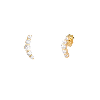Curved Earrings